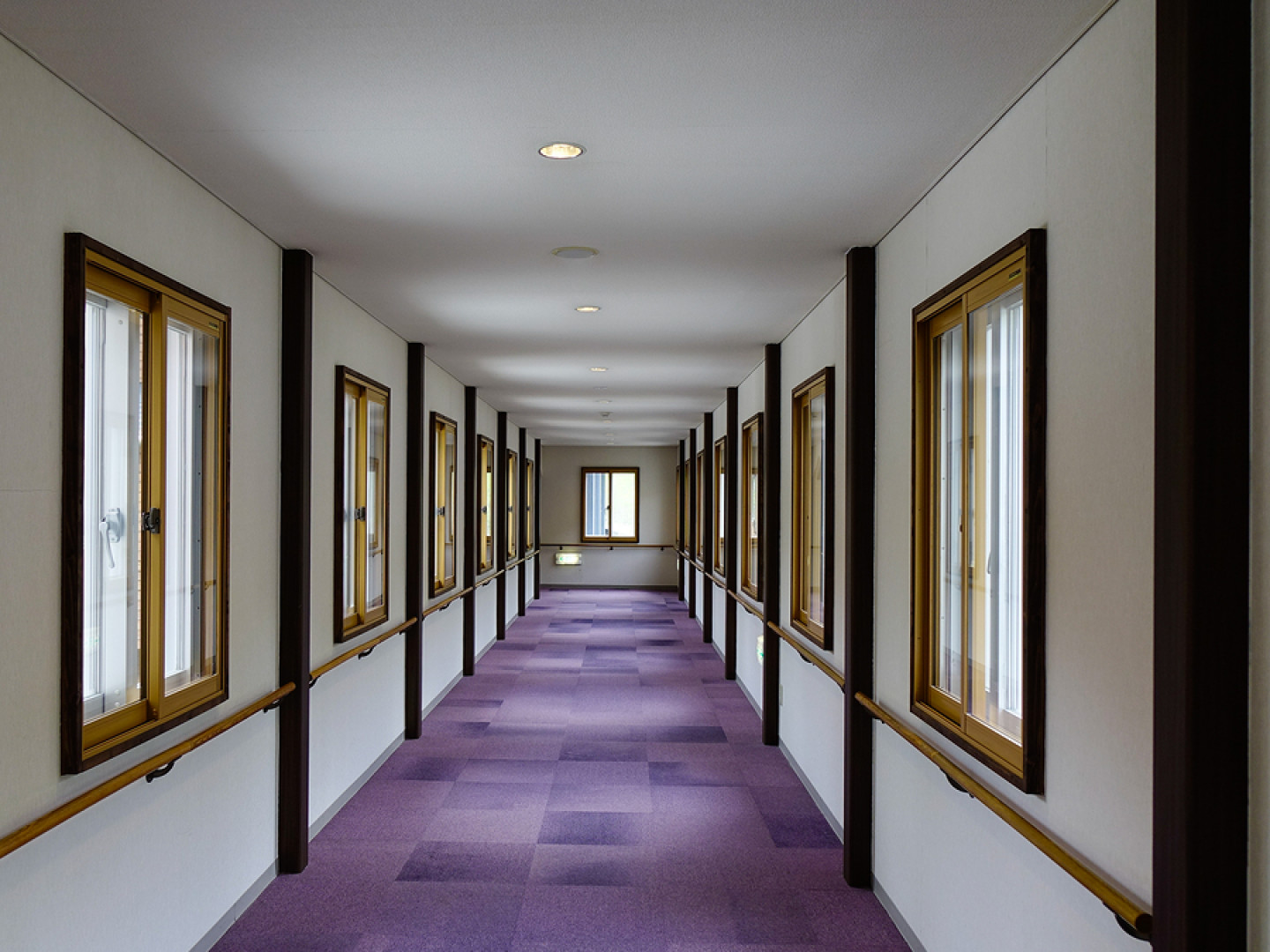 Commercial Carpet Cleaning Louisville, Jeffersontown & Fern Creek, KY